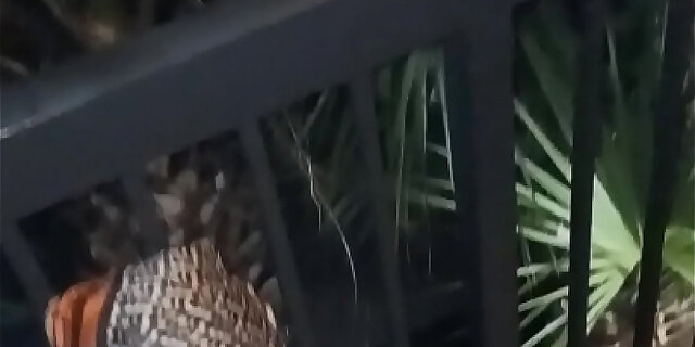 amateur,ass,beach,big ass,big cock,black,caught,closeup,couple,creampie,doggystyle,european,hardcore,homemade,shaved pussy,taboo