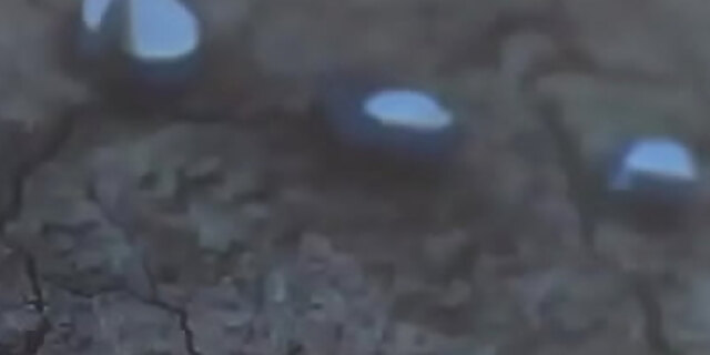 big ass,big cock,big tits,black,bra,doll,masturbation,solo,toys