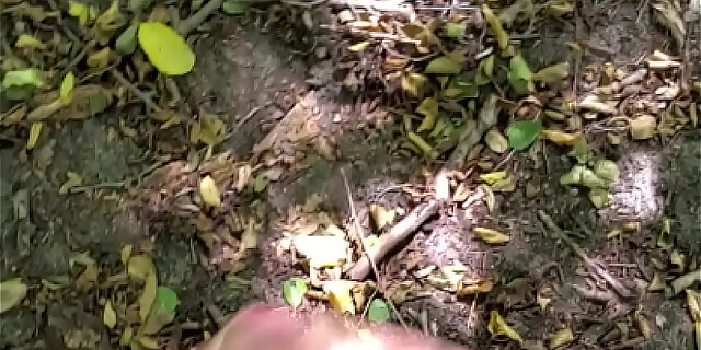 handjob,masturbation,solo