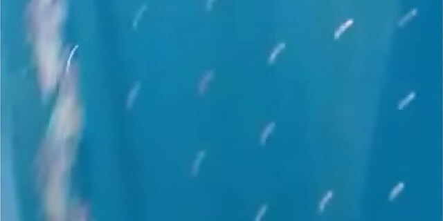 masturbation,mature,mom