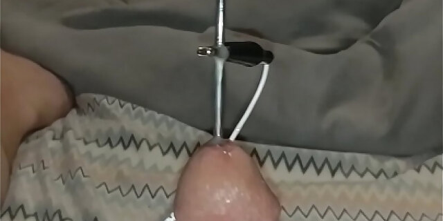 anal,cumshot,hardcore