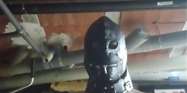 dildo,doggystyle,sex,toys