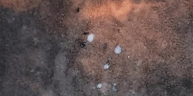 bukkake,cum,masturbation,milf,taboo,voyeur