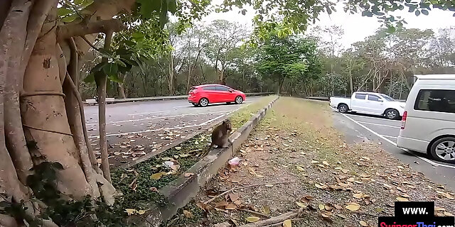 amateur,asian,big cock,blowjob,boyfriend,couple,girlfriend,teen,thai,thai teen