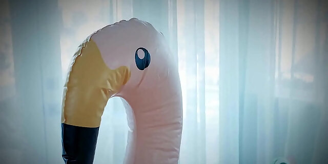 amateur,babes,cowgirl,cumshot,exxxtrasmall,hardcore,petite,shaved,teamskeet