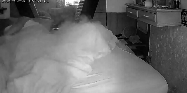 amateur,ass,big ass,blonde,couple,fetish,latina,real,reality,teen