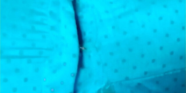 boobs,indian,masturbation,milf,sex